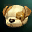 Event - Jindo Dog Hat